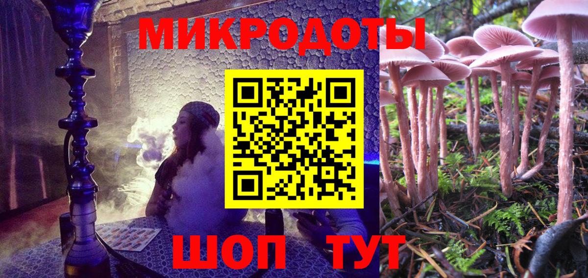 Курган  что такое наркотик  Вход с VPN  Галлюциногенные грибы прущие грибы 