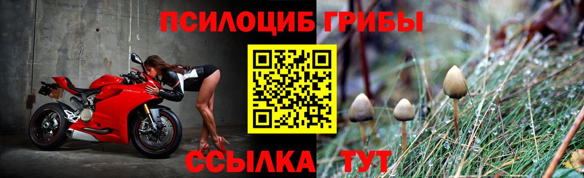 Псилоцибиновые грибы Magic Shrooms Курган
